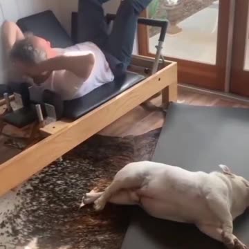 My name pet New is Gym join Workout start🐶🐶👣👣🦾