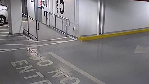 6080RHOBG3G305ANorthLobbyEntry_2021-01-06_16h40min03s517ms.mp4