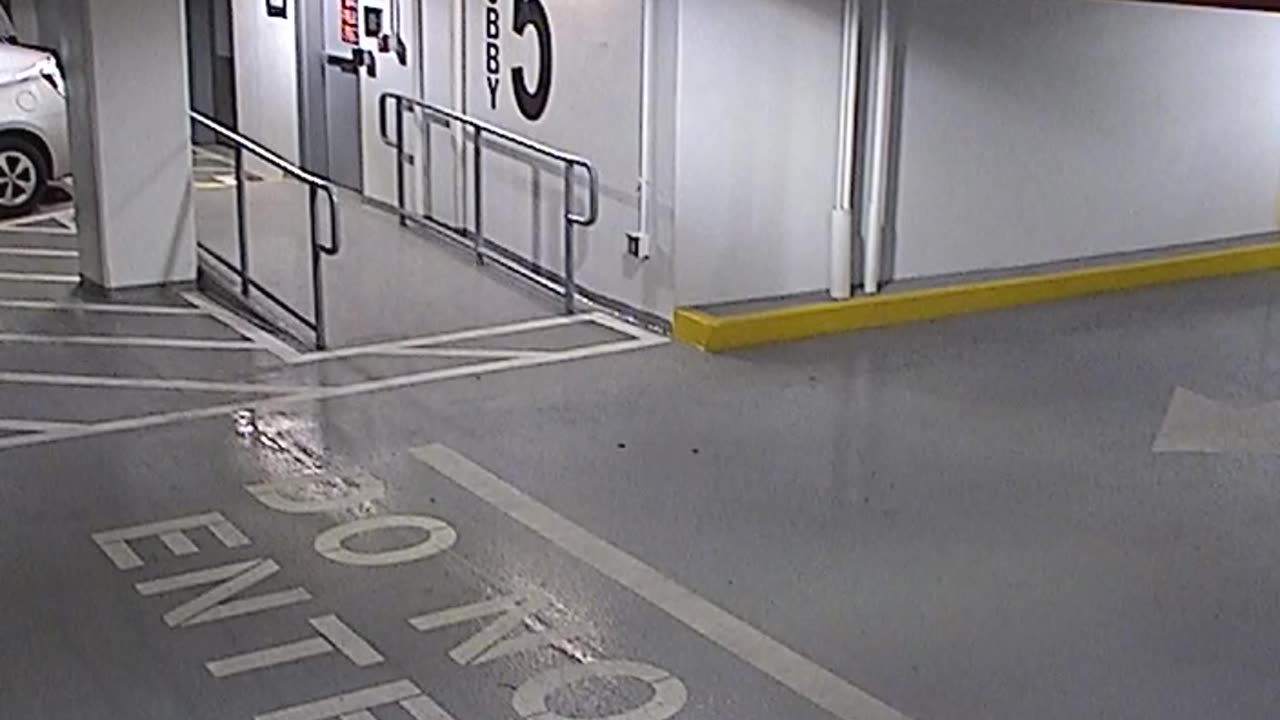 6080RHOBG3G305ANorthLobbyEntry_2021-01-06_16h40min03s517ms.mp4