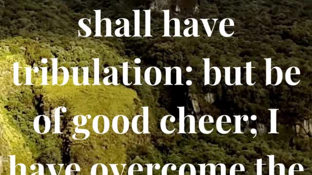 In the world ye shall have tribulation: but be of good cheer; I have overcome the world