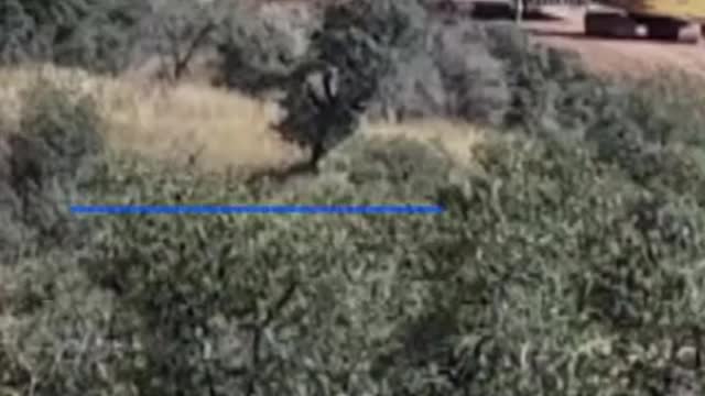 ANIMAL ACTIVISTS TOSUE ARIZONA OVERSHIPPING CONTAINERS