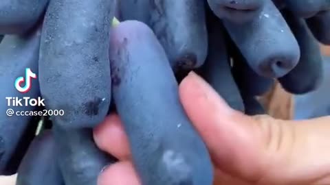 Grape fruit