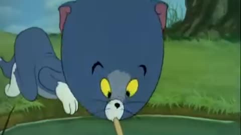 Tom and Jerry New Video