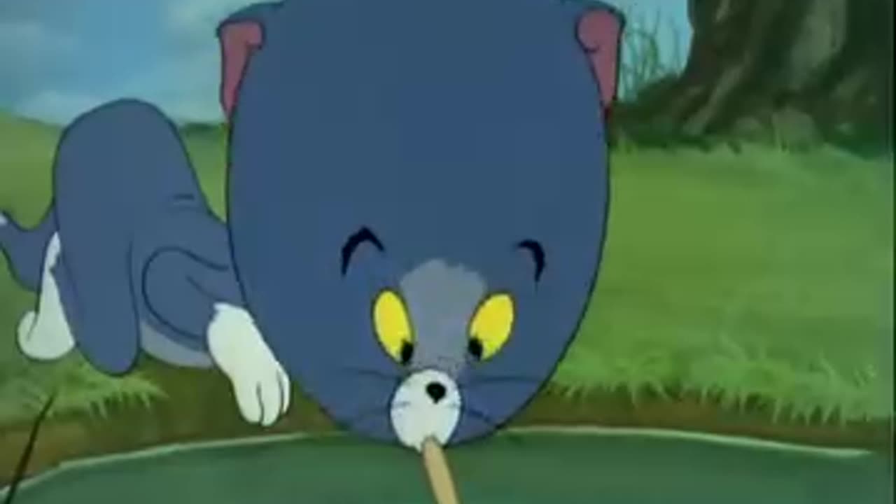 Tom and Jerry New Video