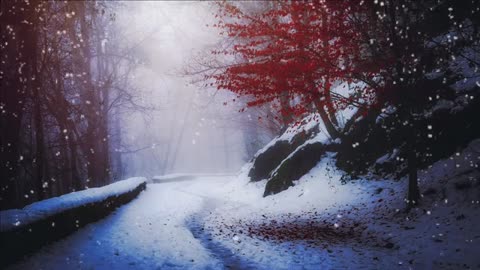 Relaxing Music | Sleeping, Meditation, Stress Relief | [6557] ⭐️
