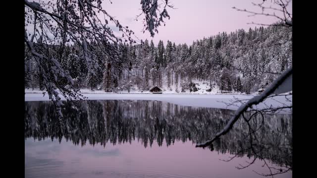 Flight Of The Seraphim Winter