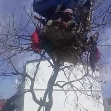 Homeless ppl living in trees