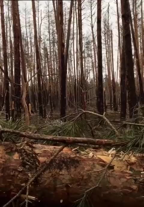 Ukrainians Laugh at Russians When They Call for Them Surrender Over a Loudspeaker