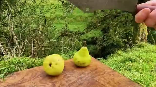 Crunch heard around the 🌍 Rolls of Goodness #shorts #menwiththepot #asmr #food #cooking #nature