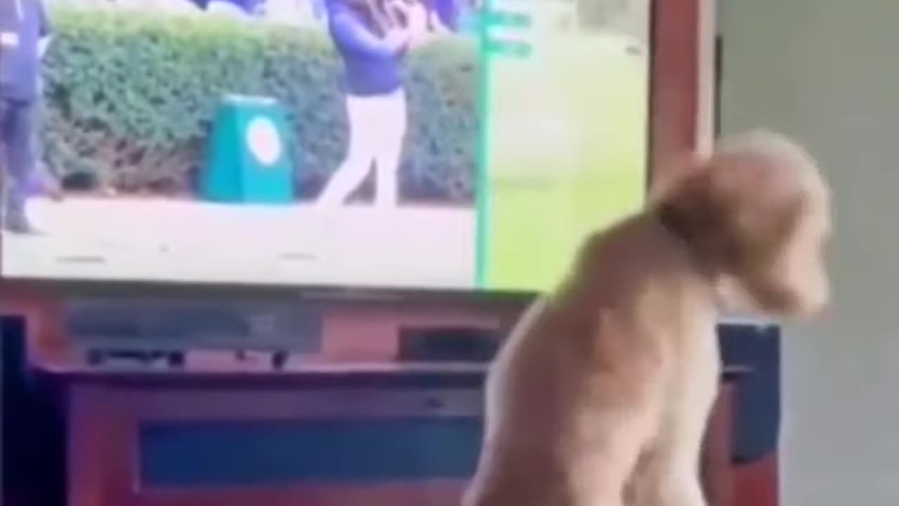 😁🤣😂😺😂🤣