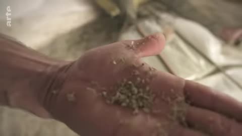 Drogues au maroc