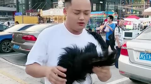 Hair wick viral video