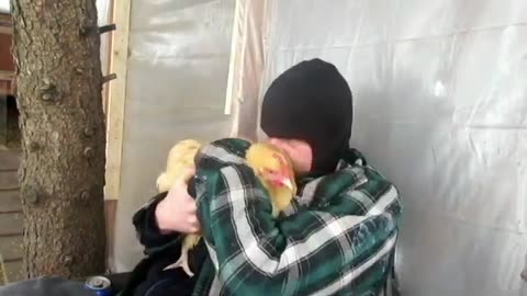 🐔 Chicken Snow Day
