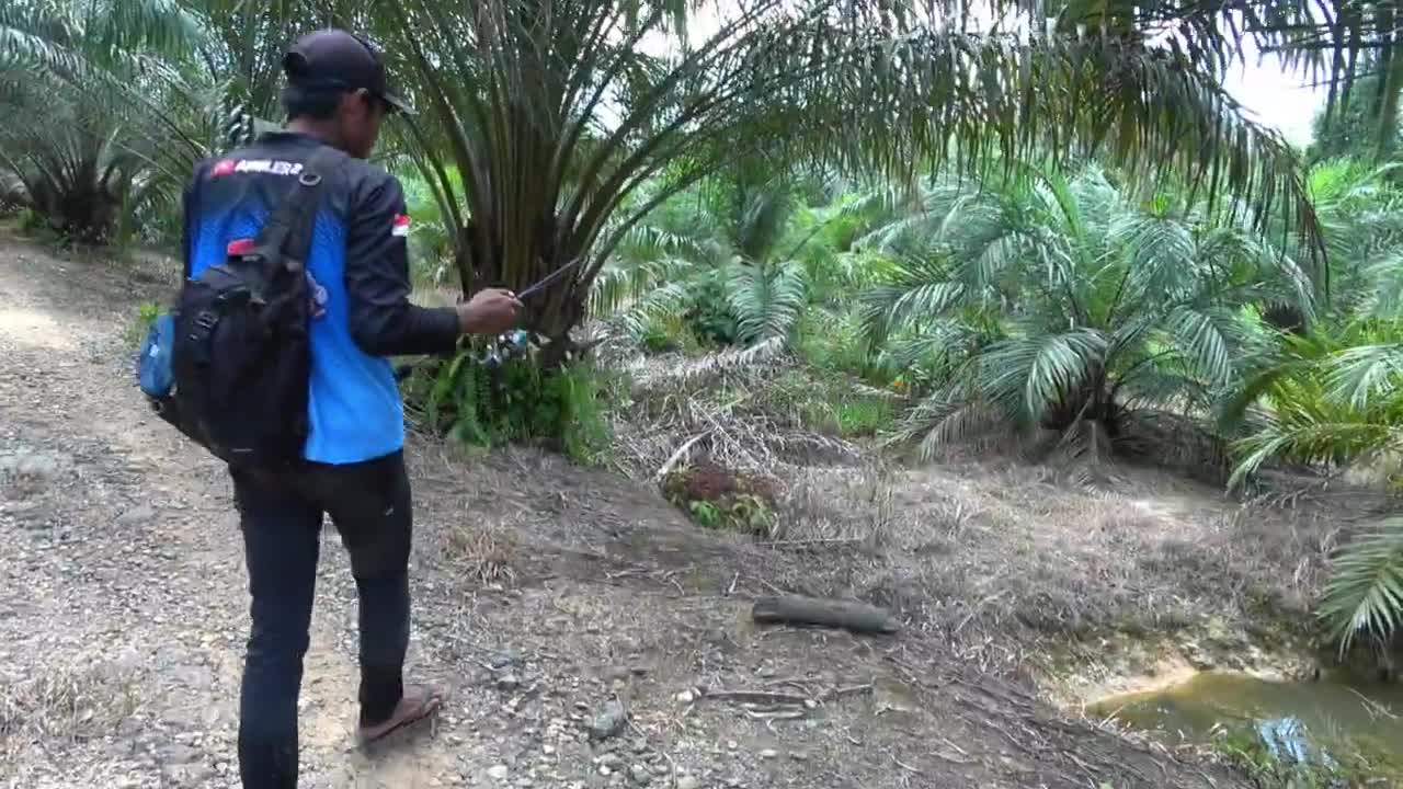 Fishing