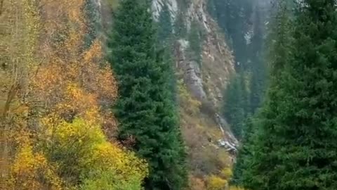 Beauty of Nature