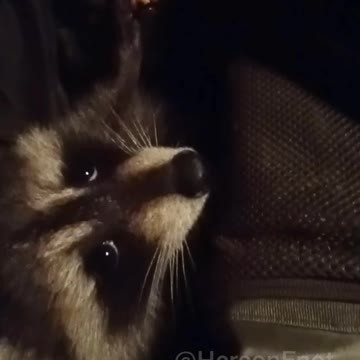 Today was a very busy day!