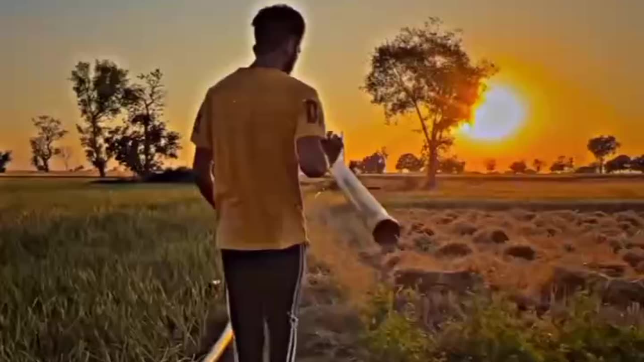 Farming Life 🌾❤️ #farming #cat #dog #animal