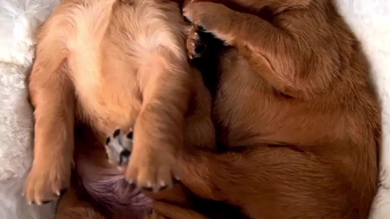 Early morning stretch 🥰