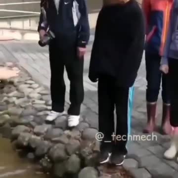 Portable water generator