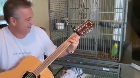 The singing voice on that parrot 🦜🦜