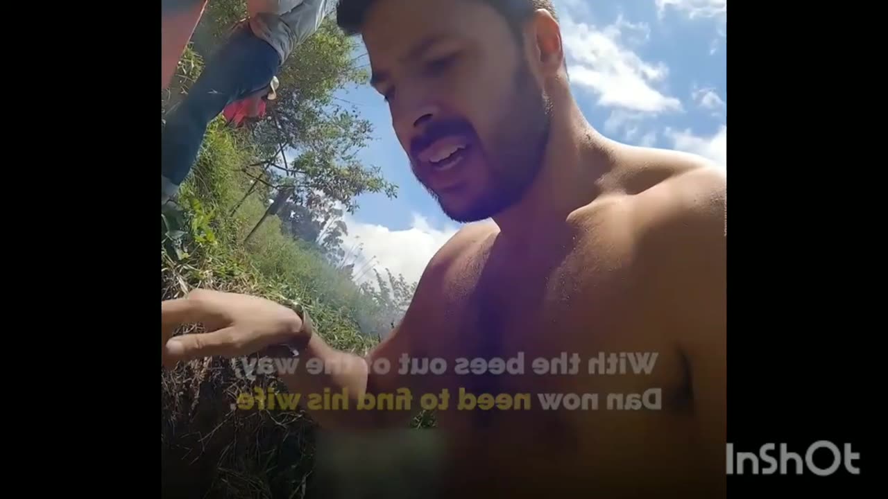 Bees Attack
