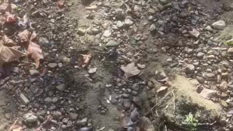 Walk to Drill Hole #1