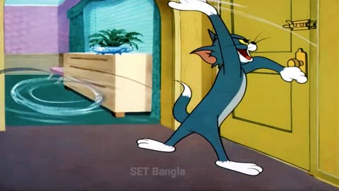 Tom and Jerry bangla Cartoon