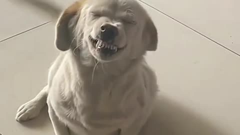 Remember to give your family and friends a big smile every day🥰🥰