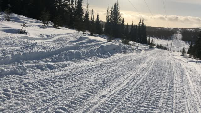 270hp Turbo Yamaha Sidewinder on the Trail