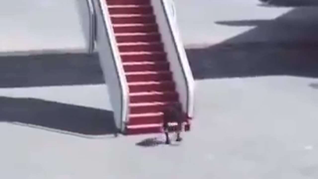 Biden's stair mastery will be missed