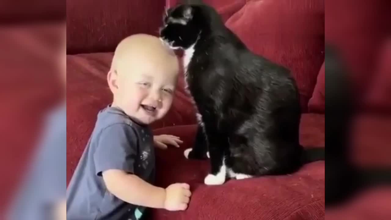 Baby and Cat