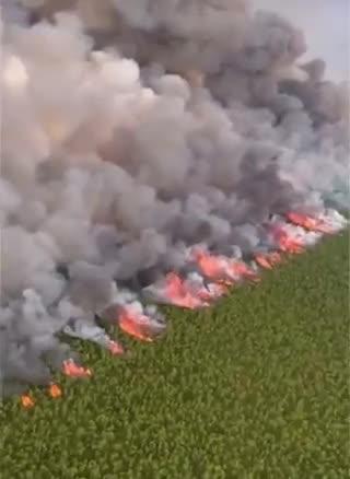 Gatekeeper_1111 NEW: The Pulp Road Fire in North Carolina is now burning 11,500 acres.