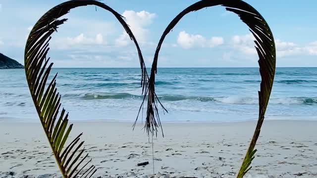Beautiful Nature View | 4D Beach View | High Resolution Video
