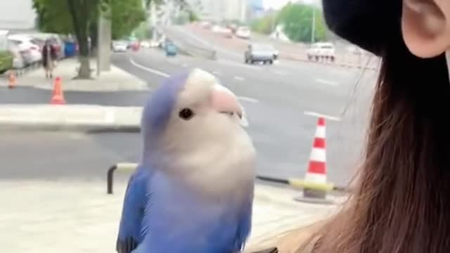 with feather head-dresses
