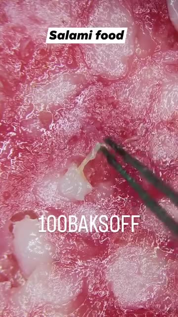 Salami: under the microscope 🔬