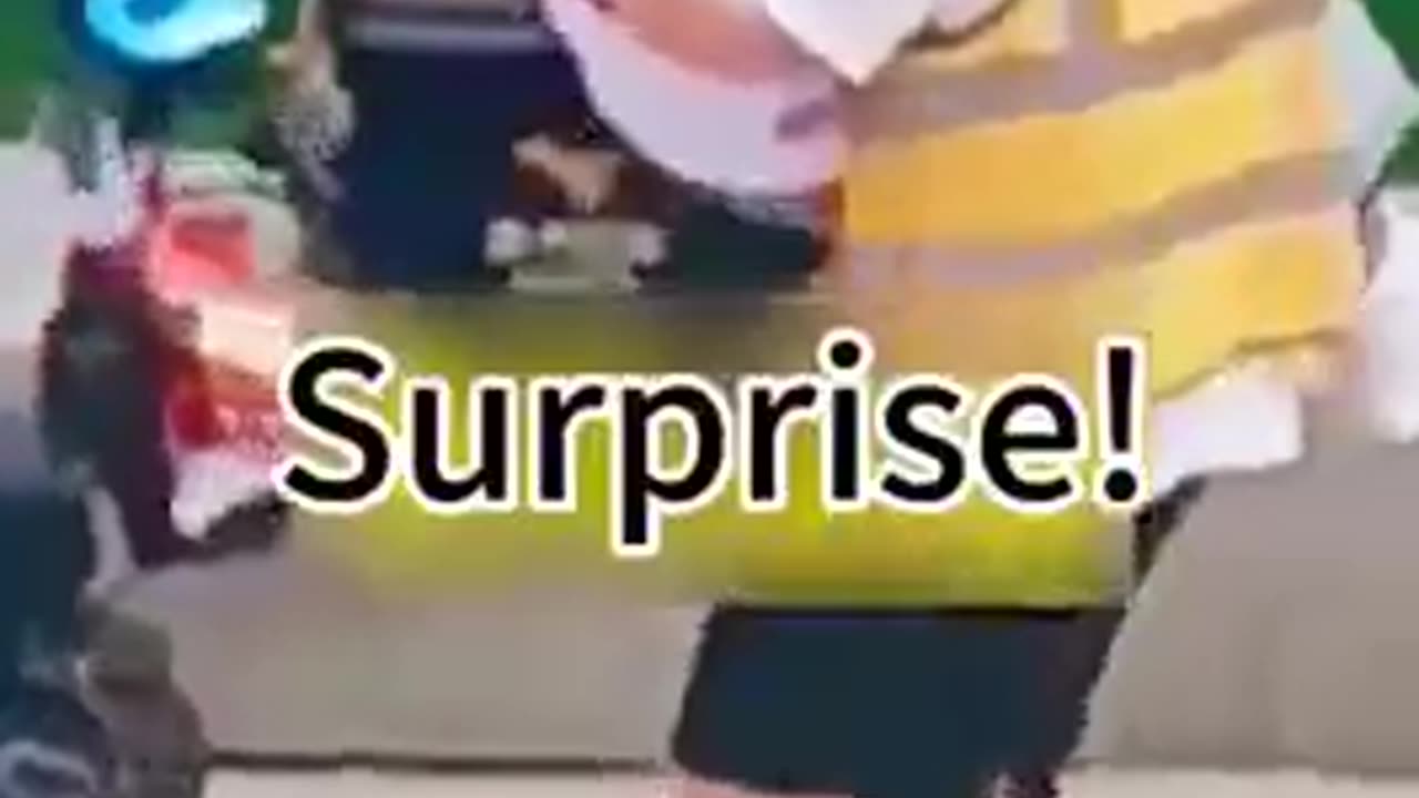 Funny video