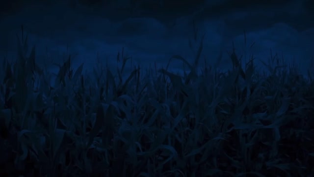 A UFO Crashed Behind My House (Evidence Found)