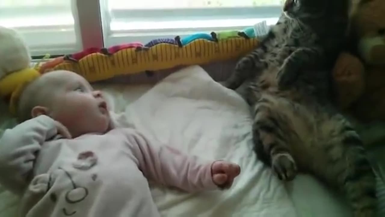 1m19s)funnyvideo