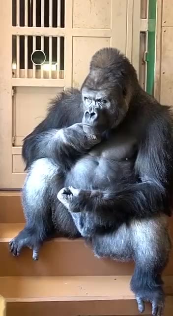 Pondering what the new week might bring for $DJT investors