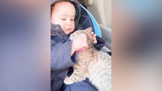 child playing with kitten