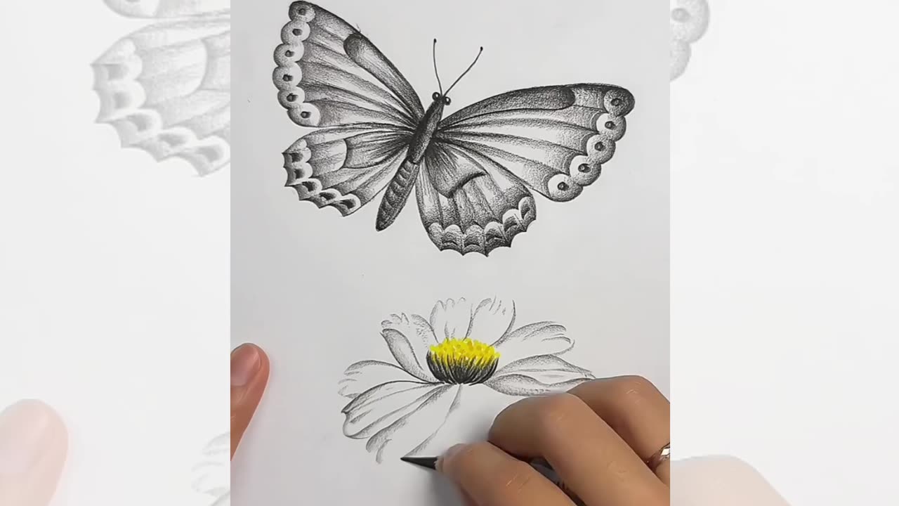 Butterfly 🦋🦋 Esy Pencil Art