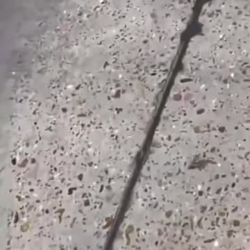 Video shows a woman holding Walmart employee hostage at gunpoint in Richland, MS last night.