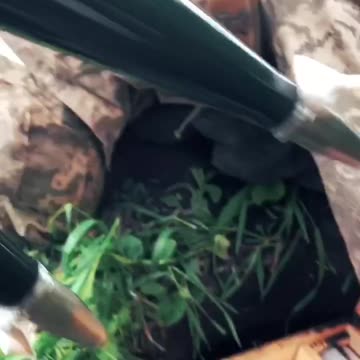 Ukrainians Smash Russian Positions with Recoilless Gun