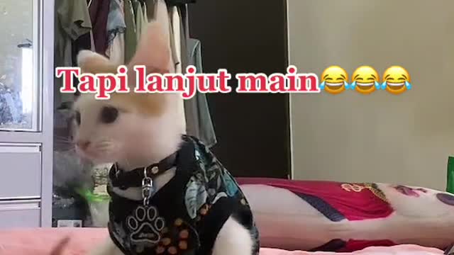 Eeh kagetš¤£