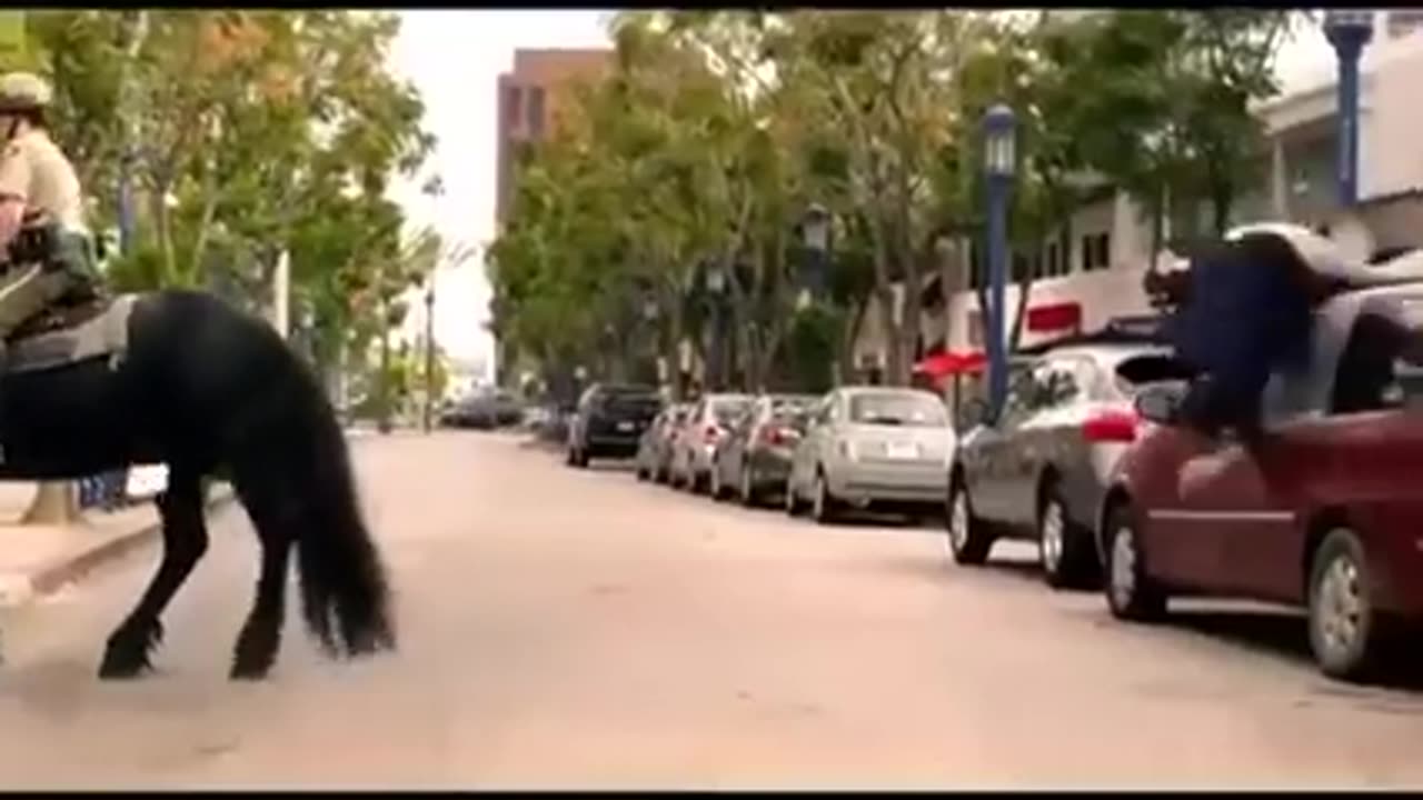 Dont mess with the Blue