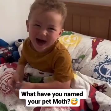 What have you named your pet moth?