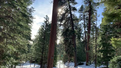 Classic Ochoco National Forest – Bandit Springs Sno-Park – Central Oregon – 4K