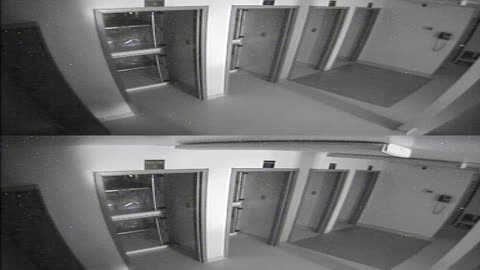 1704CRIB01CribAnalysisArea_2021-01-06_04h20min01s830ms.mp4