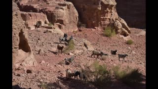 Petra Jordan. High Place of Sacrafice.