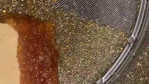 #satisfying #honey #bee #bees #eat #satisfyingvideo #asmr #trend